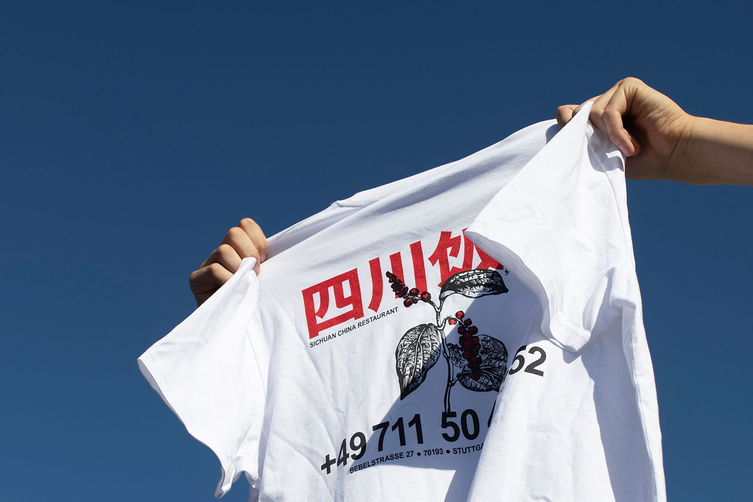 Portfolio Christian Hohloch Sichuan SwabianMadness Kollaboration Shirt Design