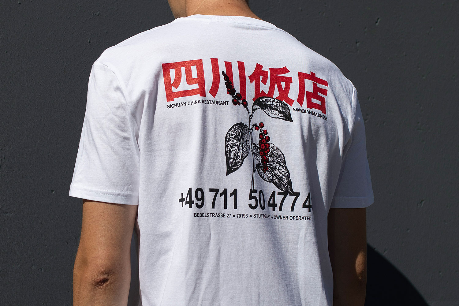 portfolio_christian-hohloch_sichuan-swabianmadness-1 